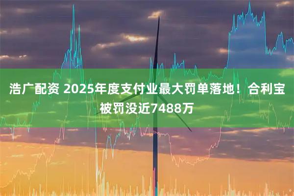浩广配资 2025年度支付业最大罚单落地！合利宝被罚没近7488万